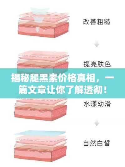 揭秘腿黑素价格真相，一篇文章让你了解透彻！