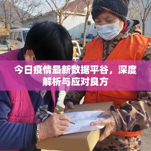 今日疫情最新数据平谷，深度解析与应对良方