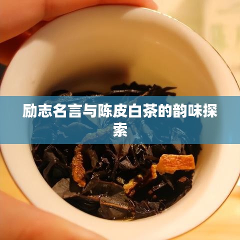 励志名言与陈皮白茶的韵味探索