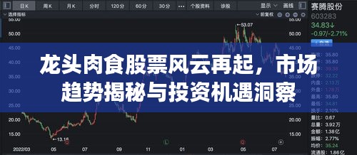 龙头肉食股票风云再起，市场趋势揭秘与投资机遇洞察