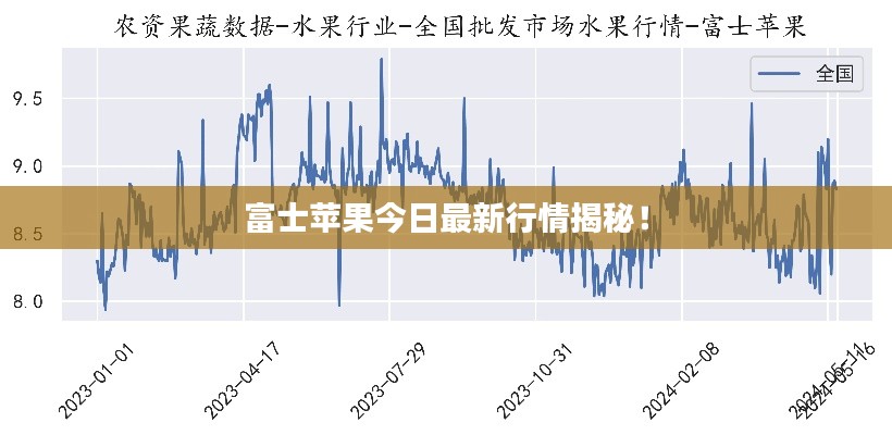 富士苹果今日最新行情揭秘！
