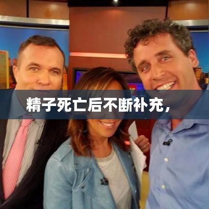 精子死亡后不断补充， 