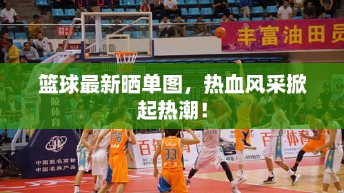 篮球最新晒单图，热血风采掀起热潮！