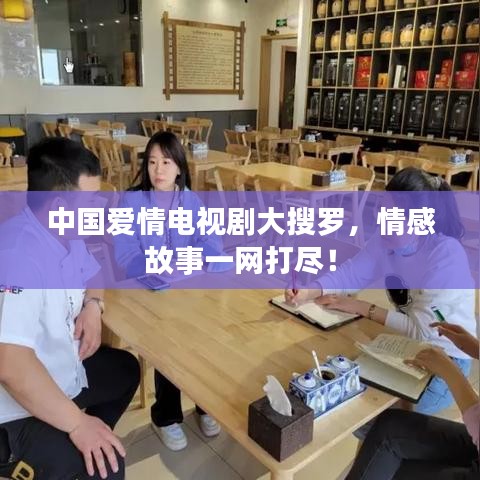 中国爱情电视剧大搜罗，情感故事一网打尽！