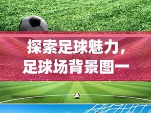 探索足球魅力，足球场背景图一览
