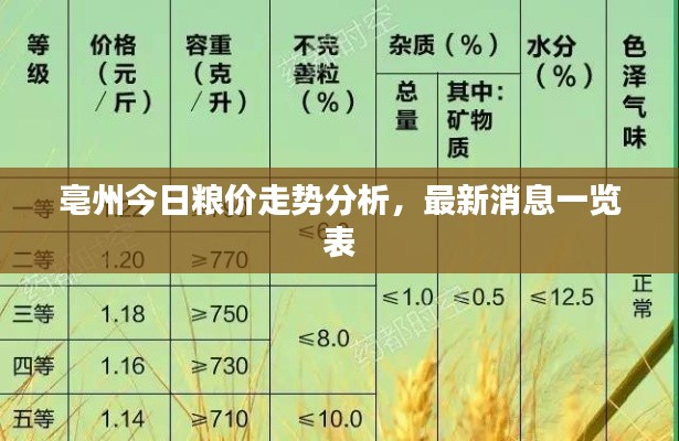 亳州今日粮价走势分析，最新消息一览表