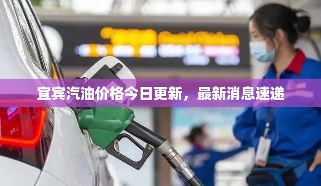 宜宾汽油价格今日更新，最新消息速递