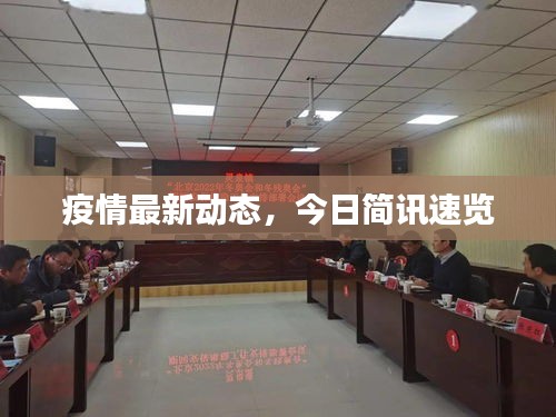 疫情最新动态，今日简讯速览