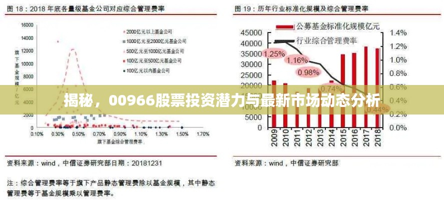 揭秘，00966股票投资潜力与最新市场动态分析