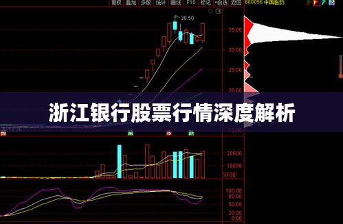 浙江银行股票行情深度解析