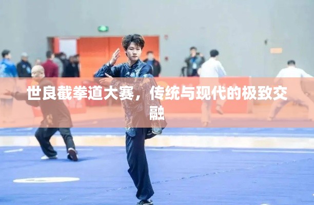 世良截拳道大赛，传统与现代的极致交融