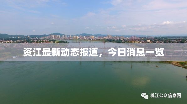 资江最新动态报道，今日消息一览
