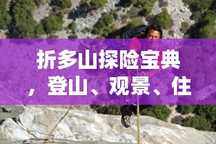 不翼而飞 第2页