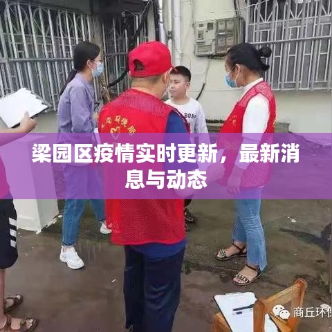 梁园区疫情实时更新，最新消息与动态