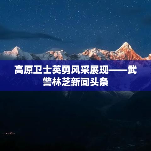 高原卫士英勇风采展现——武警林芝新闻头条