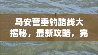 马安营垂钓路线大揭秘，最新攻略，完美钓鱼体验！