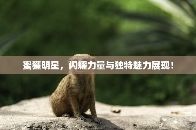 火伞高张 第2页