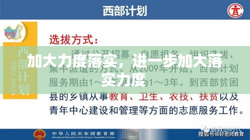 加大力度落实，进一步加大落实力度 