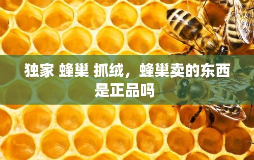 独家 蜂巢 抓绒，蜂巢卖的东西是正品吗 