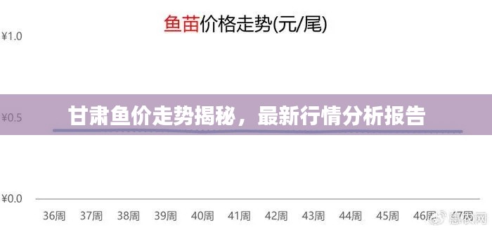 甘肃鱼价走势揭秘，最新行情分析报告