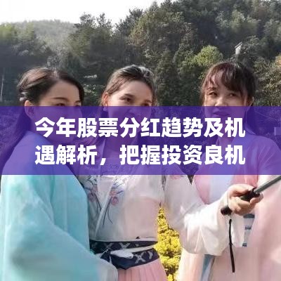 今年股票分红趋势及机遇解析，把握投资良机，洞悉市场动向