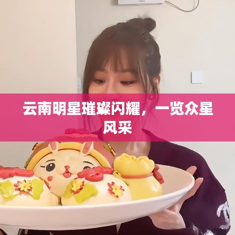 云南明星璀璨闪耀，一览众星风采