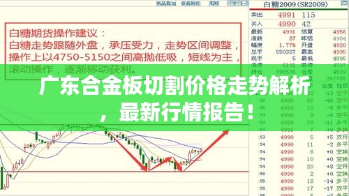 广东合金板切割价格走势解析，最新行情报告！