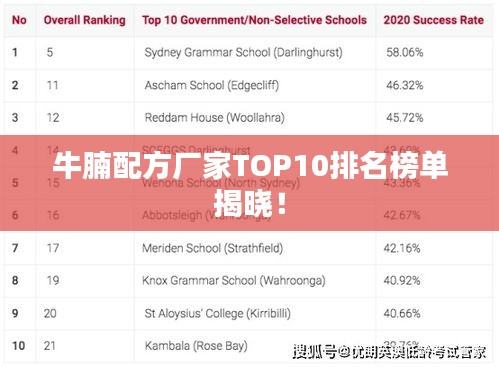 牛腩配方厂家TOP10排名榜单揭晓！