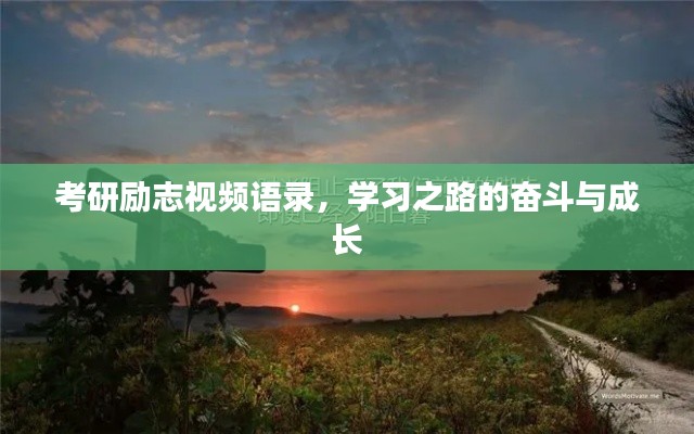 考研励志视频语录，学习之路的奋斗与成长