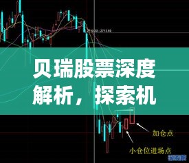 贝瑞股票深度解析，探索机遇，理解价值
