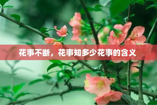 花事不断，花事知多少花事的含义 