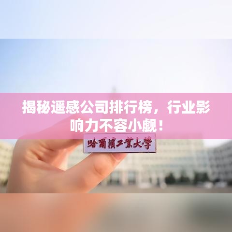 揭秘遥感公司排行榜，行业影响力不容小觑！