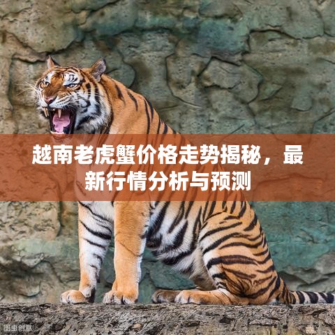 越南老虎蟹价格走势揭秘，最新行情分析与预测