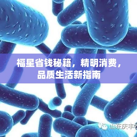 福星省钱秘籍，精明消费，品质生活新指南