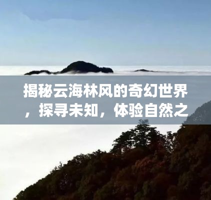 揭秘云海林风的奇幻世界，探寻未知，体验自然之美