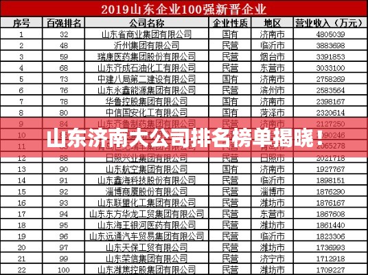 山东济南大公司排名榜单揭晓！