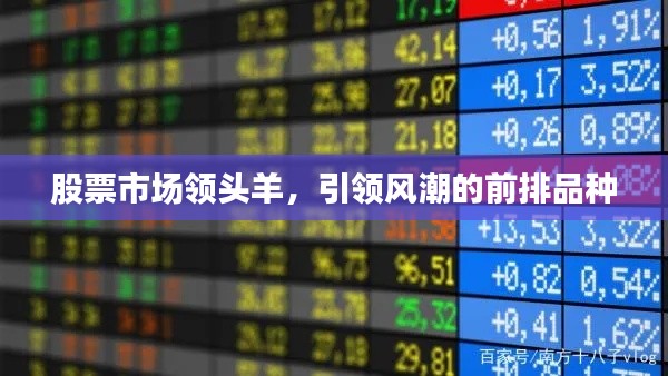 股票市场领头羊，引领风潮的前排品种