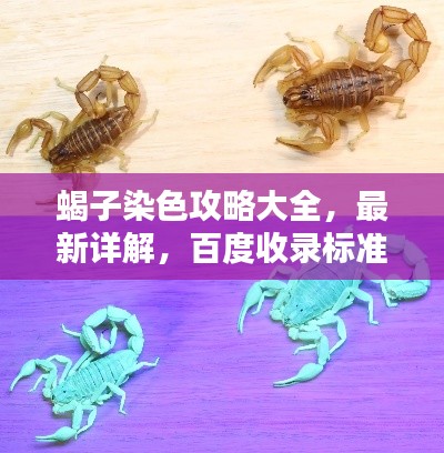 蝎子染色攻略大全，最新详解，百度收录标准标题