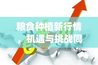 粮食种植新行情，机遇与挑战同步增长