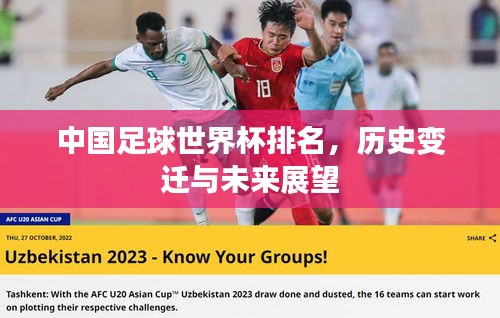 中国足球世界杯排名，历史变迁与未来展望