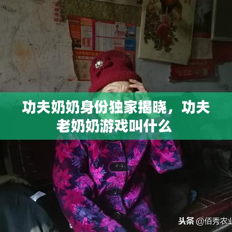 功夫奶奶身份独家揭晓，功夫老奶奶游戏叫什么 