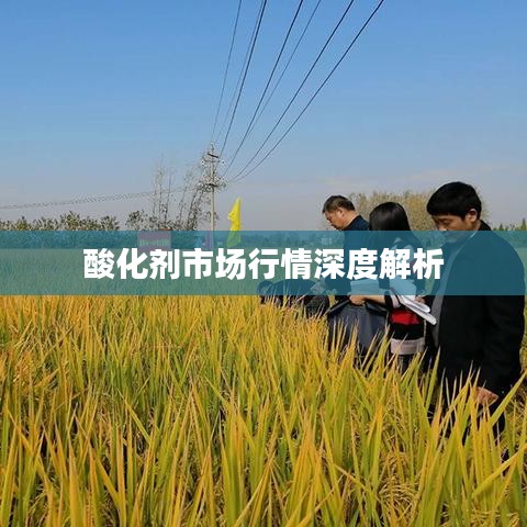 酸化剂市场行情深度解析