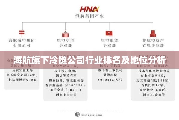 海航旗下冷链公司行业排名及地位分析