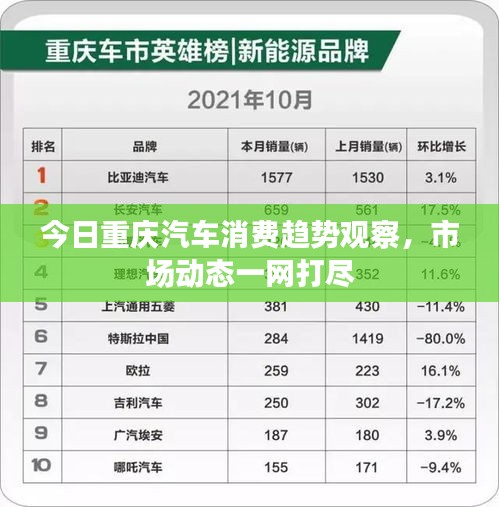 今日重庆汽车消费趋势观察，市场动态一网打尽