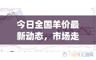 今日全国羊价最新动态，市场走势、影响因素深度解析视频