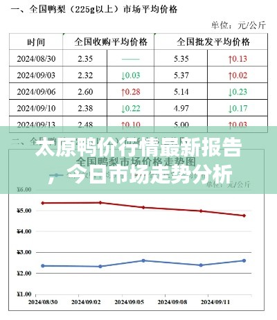 太原鸭价行情最新报告，今日市场走势分析