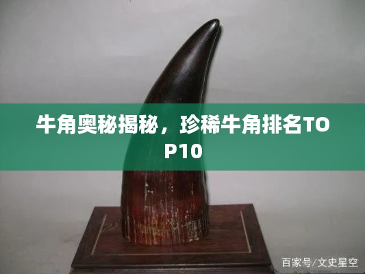 牛角奥秘揭秘，珍稀牛角排名TOP10