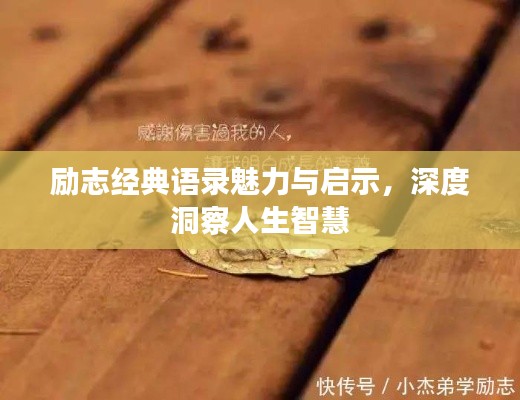 励志经典语录魅力与启示，深度洞察人生智慧