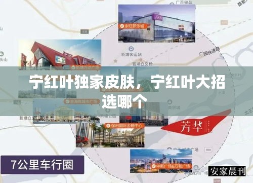 宁红叶独家皮肤，宁红叶大招选哪个 