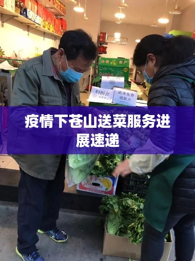 疫情下苍山送菜服务进展速递